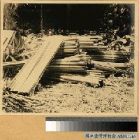 藏品(牆壁建材-椰子葉柄)的圖片